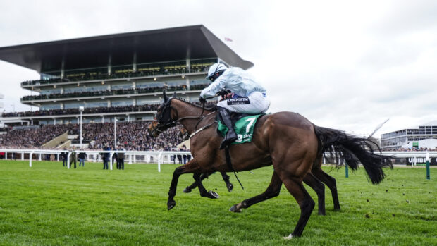 Danny Mullins riding Kargese clears the last to win The Singer Arkle Challenge Trophy Novices' Chase at Cheltenham Festival 2026