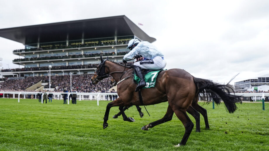 Danny Mullins riding Kargese clears the last to win The Singer Arkle Challenge Trophy Novices' Chase at Cheltenham Festival 2026