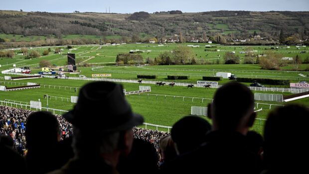 Cheltenham , United Kingdom - 13 March 2026: Racegoers look on as Dinoblue, with Mark Walsh up, leads the field on the way to winning the Mrs Paddy Power Mares' Chase on day four of the 2026 Cheltenham Racing Festival at Prestbury Park in Cheltenham, England. (Photo By David Fitzgerald/Sportsfile via Getty Images)