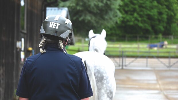 A vet watching a horse trot up as part of a pre-purchase vetting
