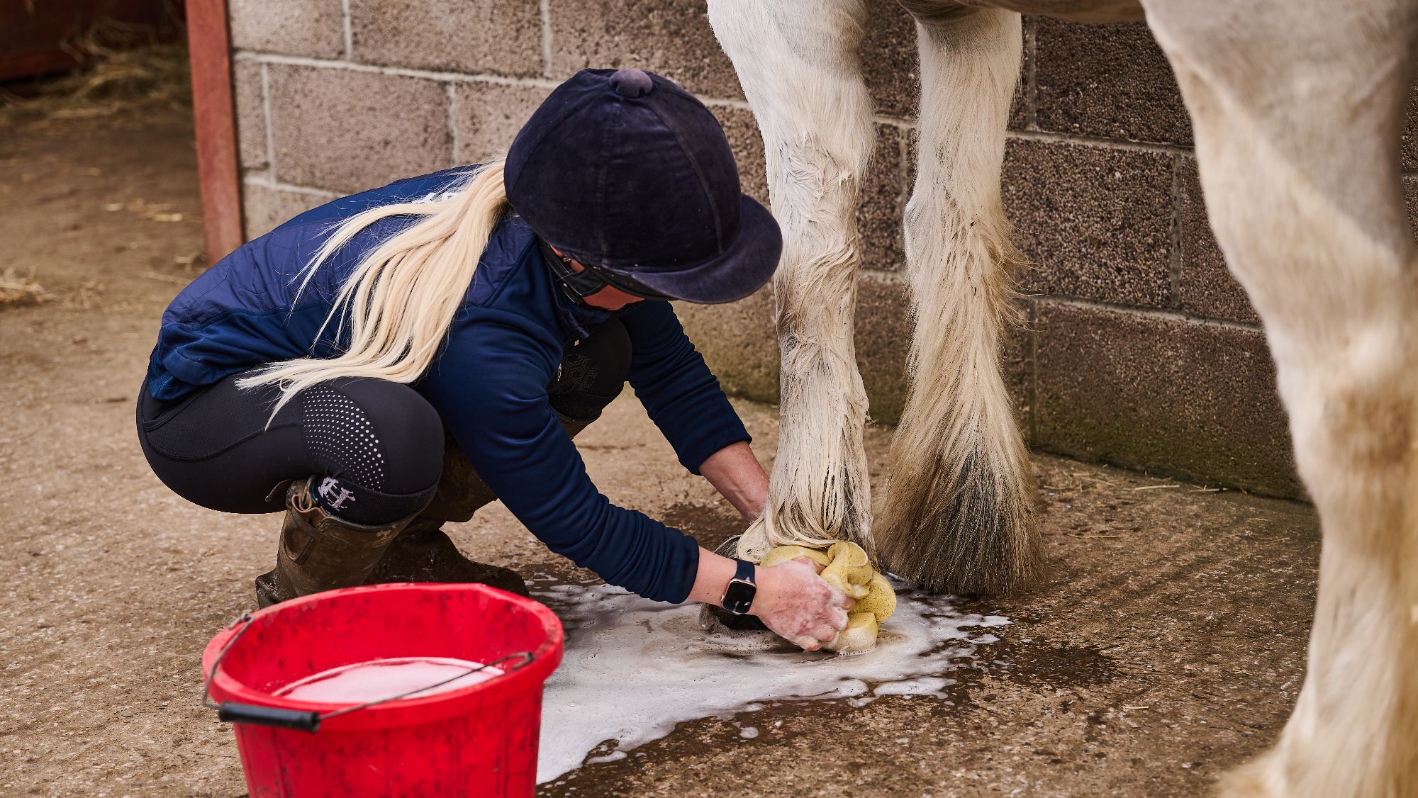 A woman wearing a riding helmet crouches down and demonstrates how to keep horse feathers clean. She uses soapy water and a sponge to clean a white horse's legs. There is a red bucket in the foreground.