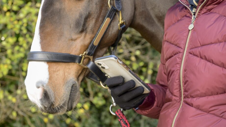 GIRL GROOM LADY ON PHONE IPHONE SOCIA MEDIA DIGITAL HORSE PONY WINTER COAT RUG OVER SHOULDER SCREEN STOCK