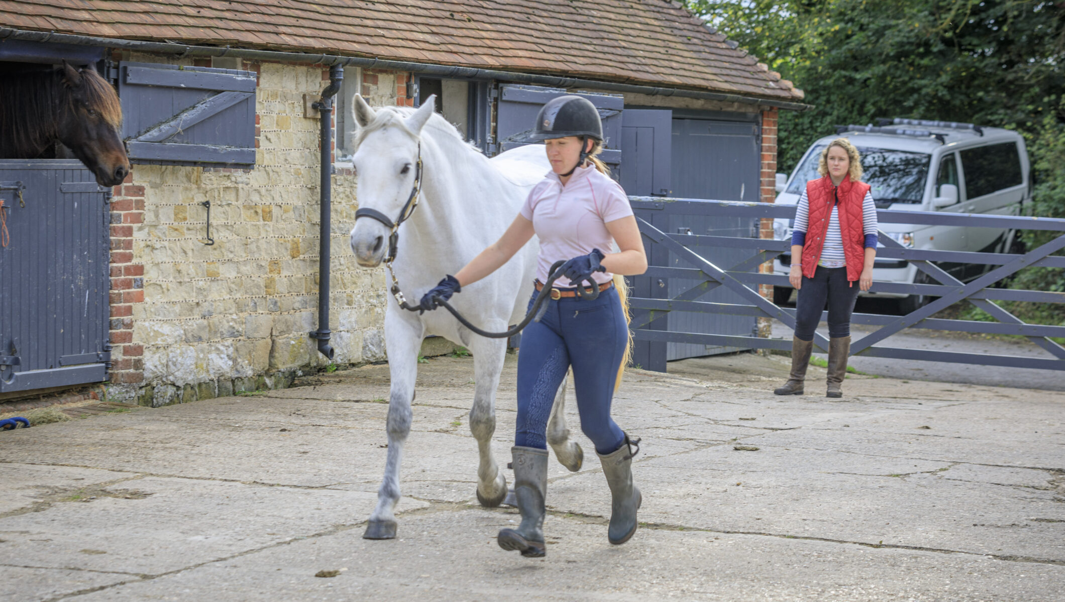 A grey Connemara pony trots away from a vet in a vetting.