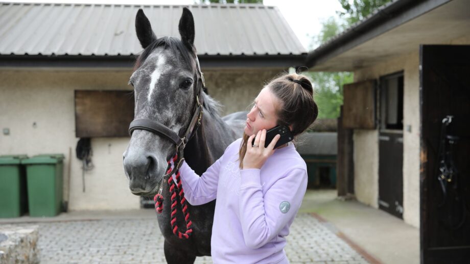 A woman in a pink jumper looking up at the steel grey horse she is holding with concern, there is a phone in her right hanf which she holds to her right ear