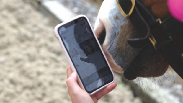 A rider holding a horse and looking at social media on her phone