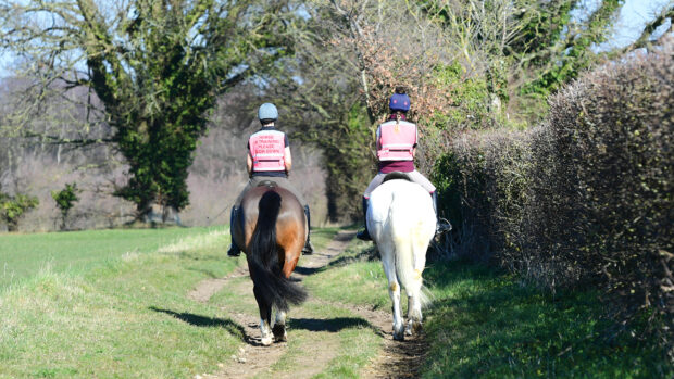 Two riders wearing pink hi-vis on a bay (left) and a grey (right) horse walk down a field track with a hedge on the right.