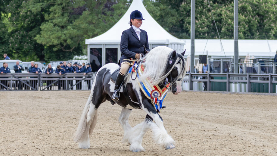 Vicky Smith and Chynas Top Deck win The Coloured Ridden Championship at Royal Windsor Horse Show and display beautifully clean horse feathers