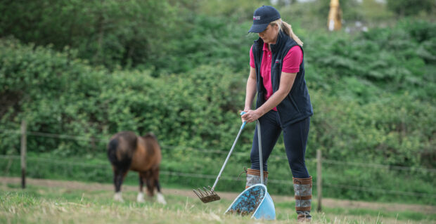 Female removing droppings from field with horse in background