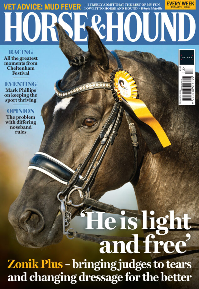 Cover of Horse and Hound featuring a portrait of black dressage stallion and European champion Zonik Plus