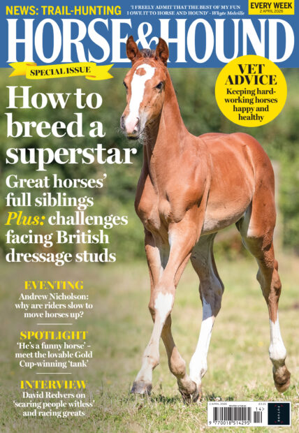 Cover of Horse & Hound magazine on sale 2 April 2026 featuring an image of a chestnut foal trotting towards the camera
