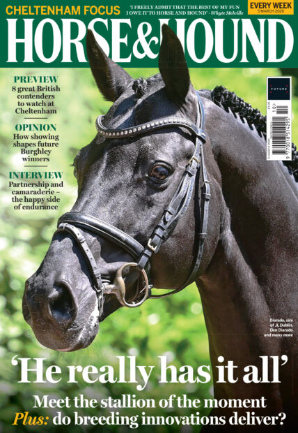 Cover of Horse and Hound magazine, featuring a head shot of black stallion Diaradro