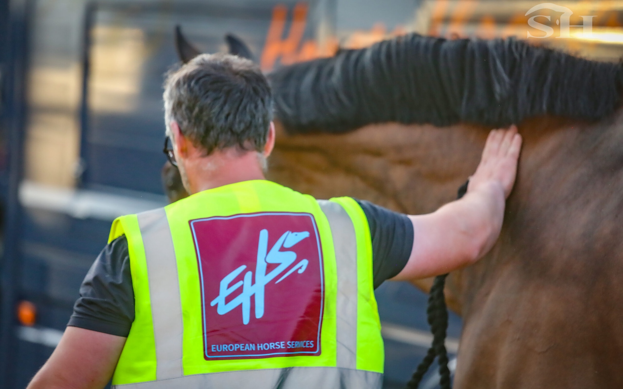 Delight as European horses arrive home safe after ‘week of uncertainty’ owing to Middle East air strikes