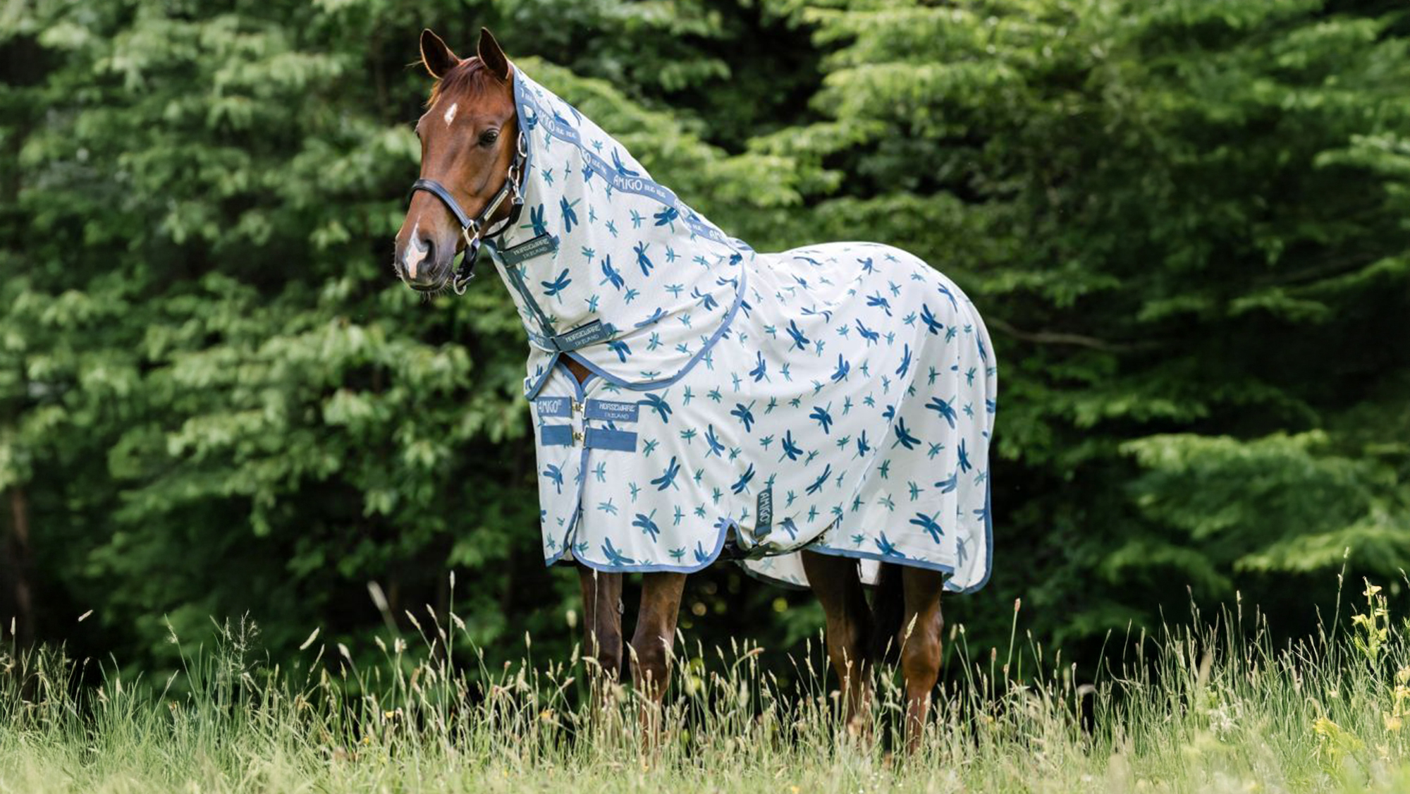 Horseware Amigo fly rug with dragon fly print
