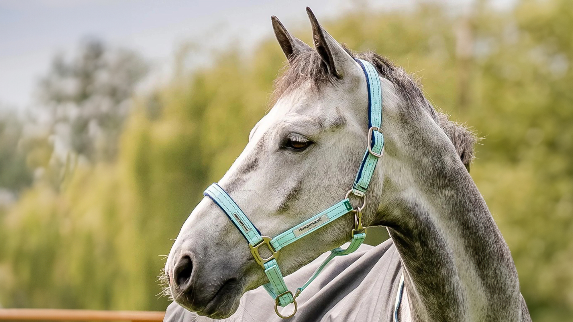 Horseware Field Safe Headcollar