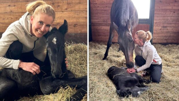 Pictured Jessica von Bredow-Werndl with Dalera and her newborn foal Dolce Vita BB.