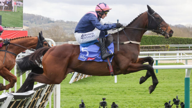 Kopek Des Bordes would be a popular winner on day 1 of the Cheltenham Festival.