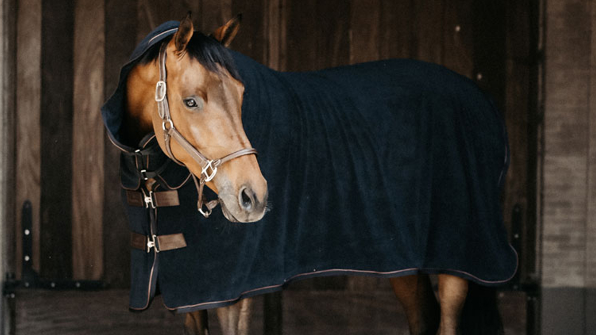 Kentucky Horsewear Towel Rug