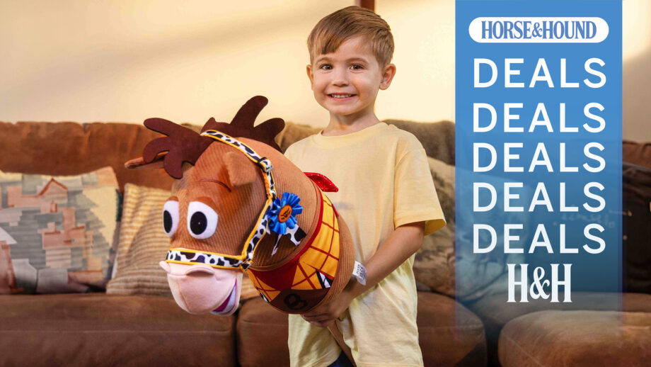 Boy with LeMieux Disney Bullseye Hobby Horse with H&H deals graphic