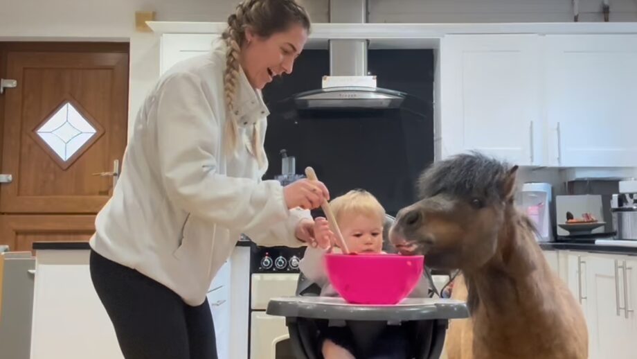 Lula, Tamsin and Simba in the kitchen
