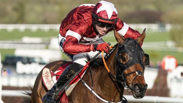 Tiger Roll, winning at Cheltenham in 2020. Credit: Getty