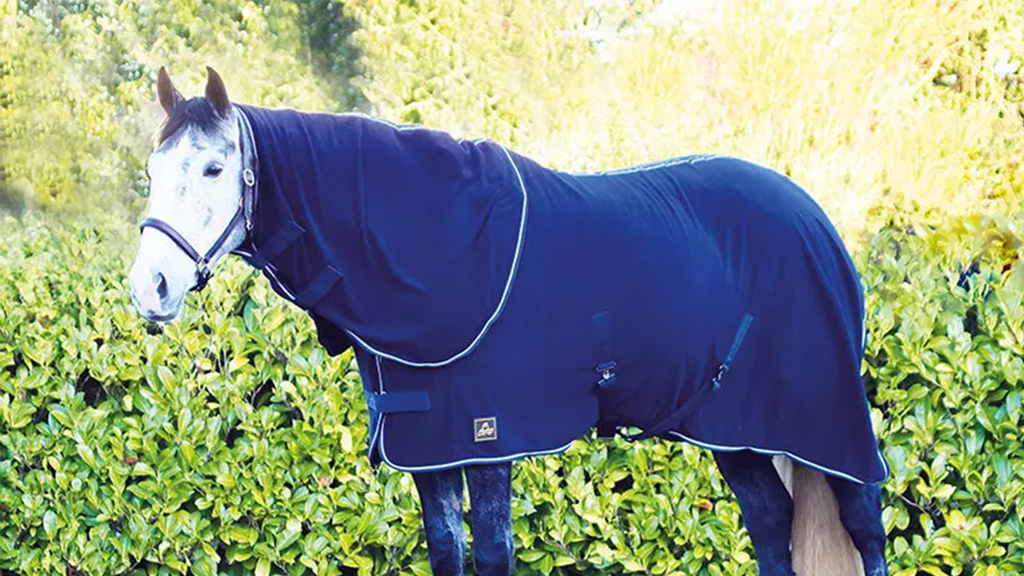 Mackey Liffey Dry Rug