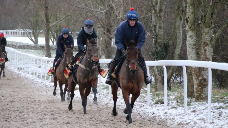 Mark Todd leading a racehorse string working on gallops on a snowy day