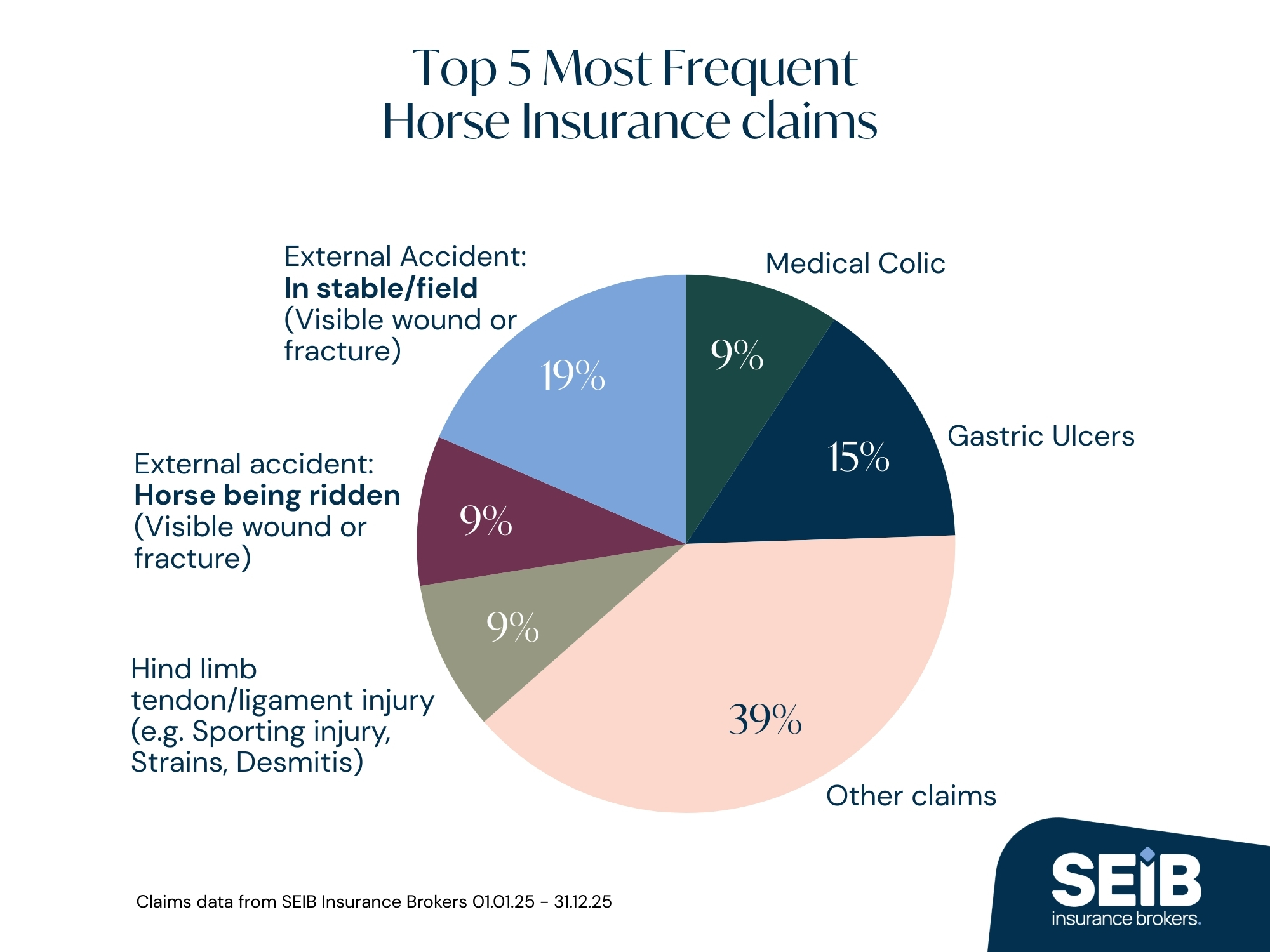 A pie chart showing the most common insurance claims, according to SEIB Insurance Brokers