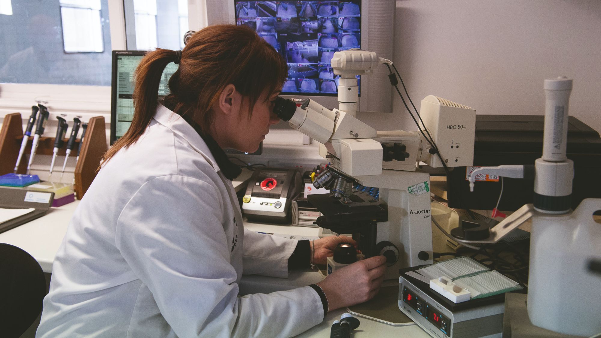 ICSI in practise within a laboratory setting