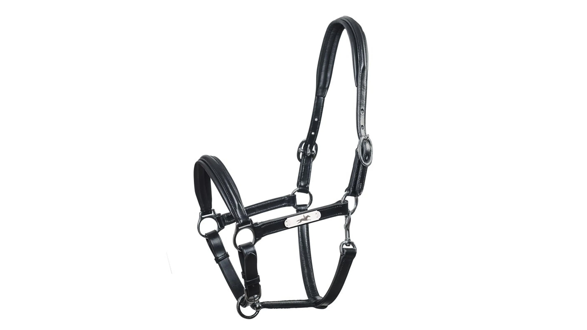 Schockemohle Ulm Pro Leather Headcollar
