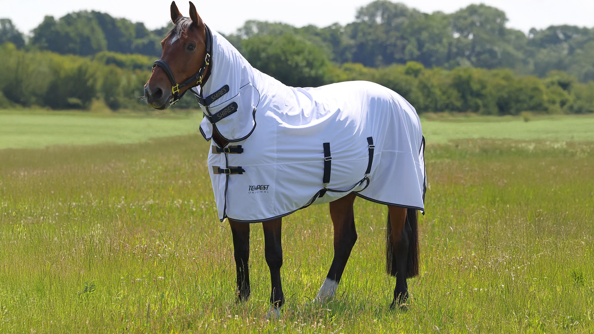 Shires Tempest Original Fly Combo Rug