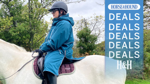 Fran riding horse wearing the Two Bare Feet Riding Robe with H&H deals graphic