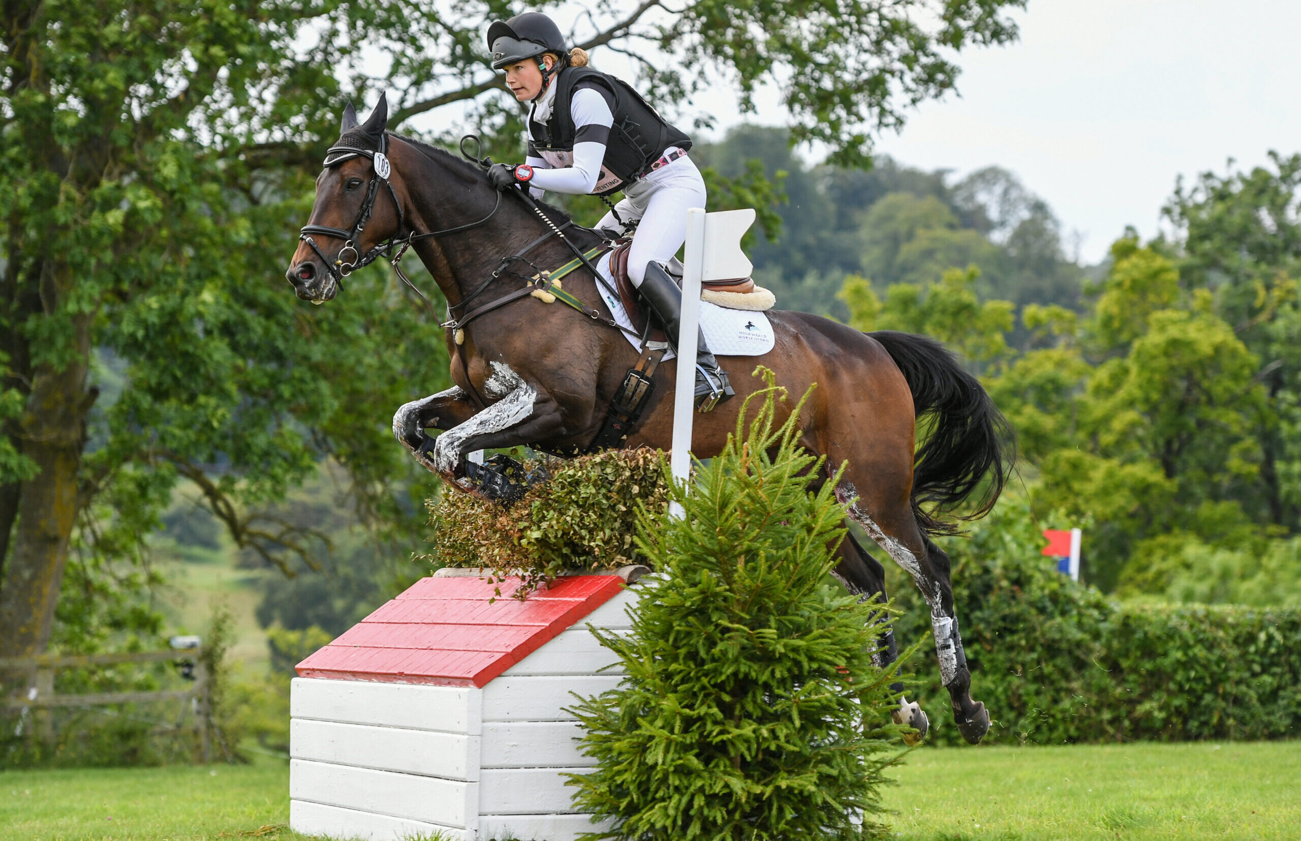 Ex-racehorse Watergate Bay going cross-country at Retraining of Racehorse competition