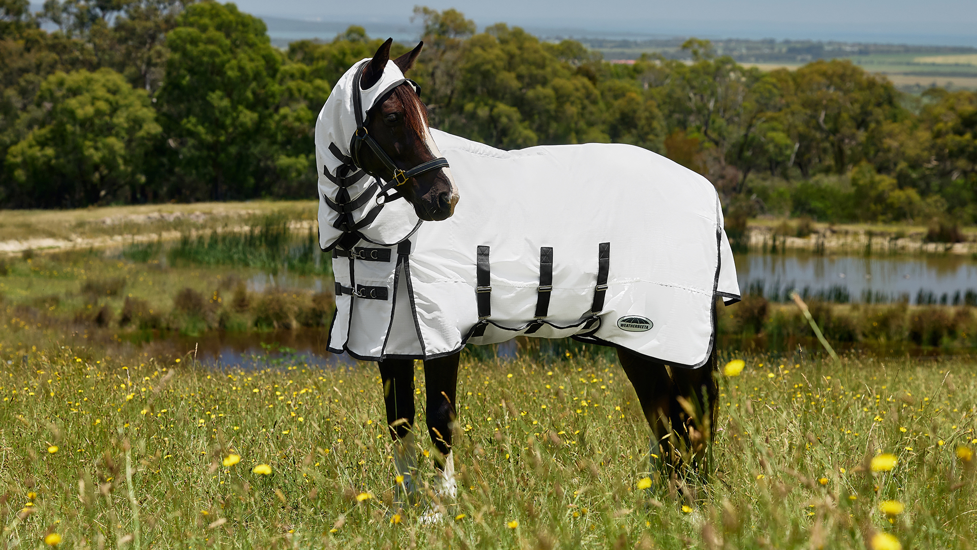 WeatherBeeta ComFiTec Sweet Itch Shield Fly Combo Rug