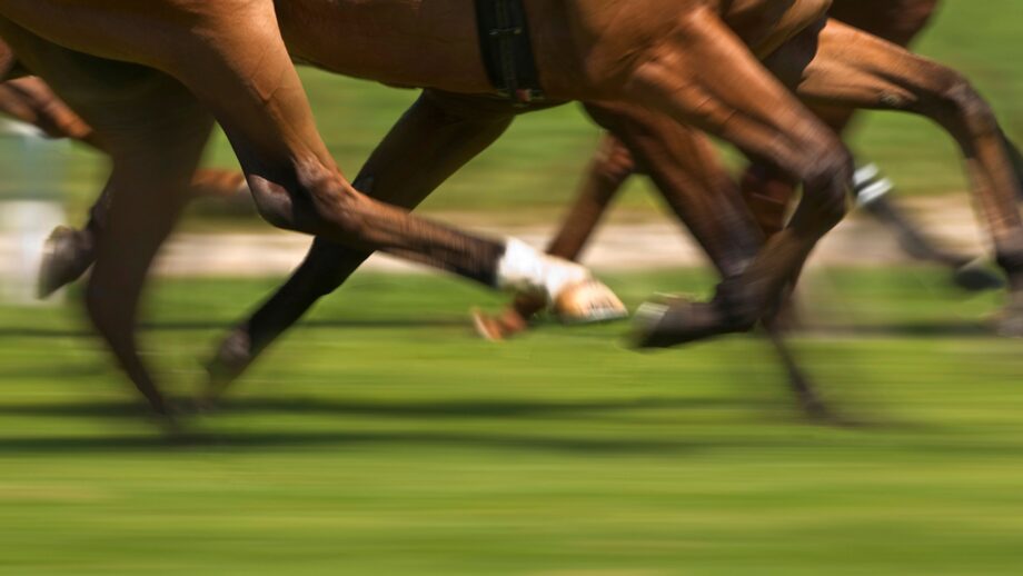Library image of racehorses' legs at full gallop