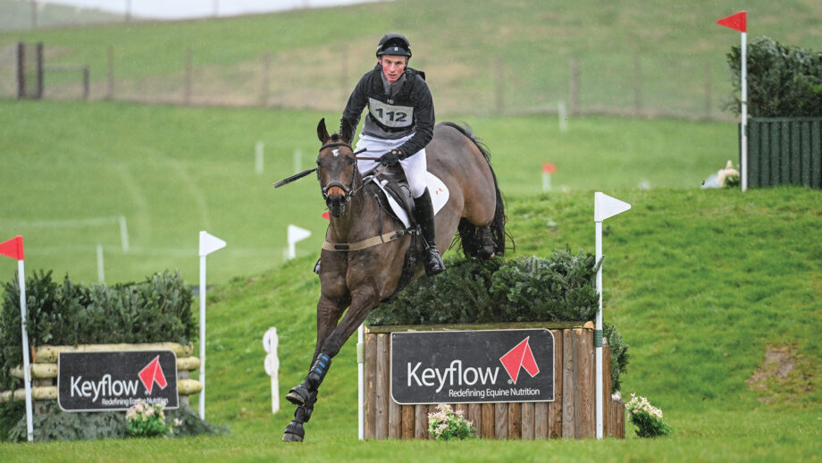 An event horse jumps triple brush arrowed o n a right turn towards the camera.