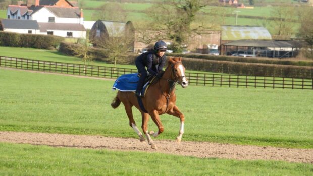 Gemma Owen at the gallops at Manor House Stables