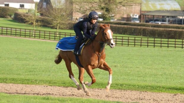 Gemma Owen at the gallops at Manor House Stables