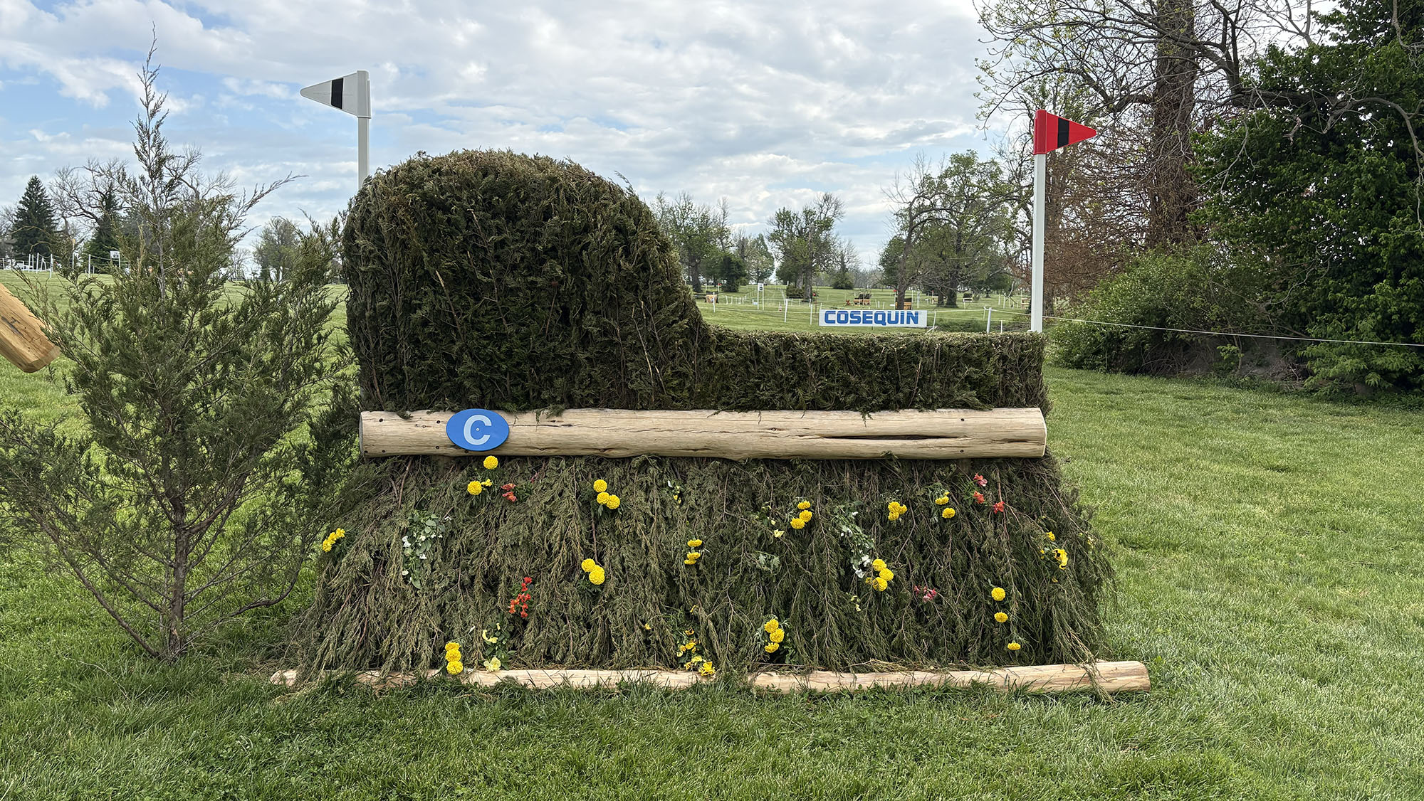 Kentucky Three-Day Event cross-country course 2026 fence 26c alternative