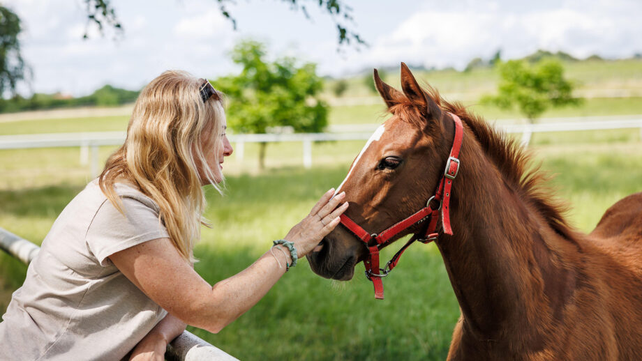 Woman with chestnut foal