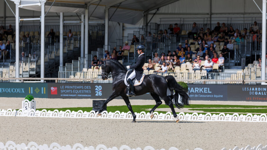 Justin Verboomen and Zonik Plus on their way to winning Saturday's grand prix on a personal best of 83.5% at the Fontainebleau CDIO5*