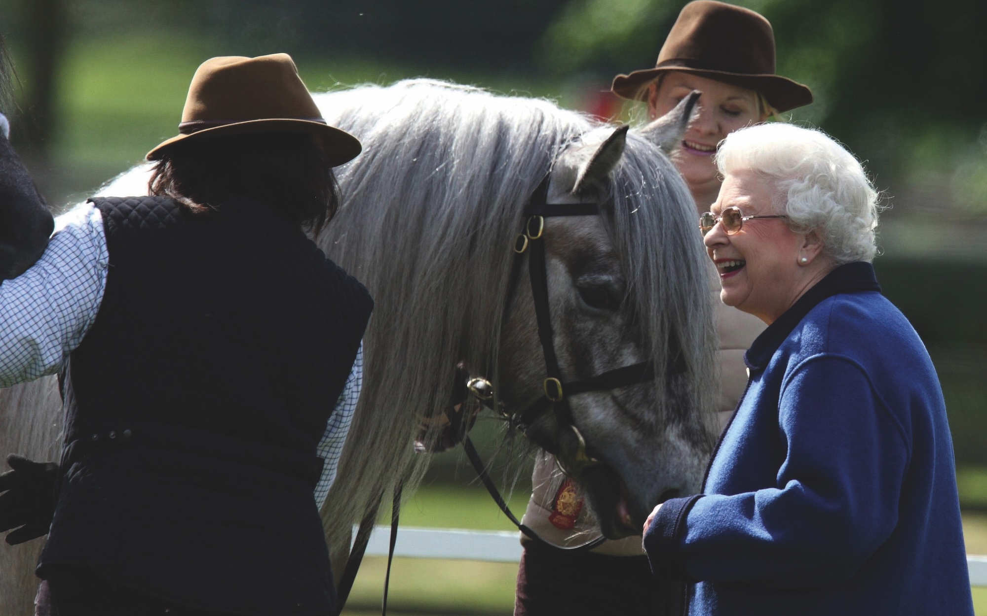 Queen Elizabeth II looks at the horses she owns competing in the Highland classes at the Royal Windsor Horse show.