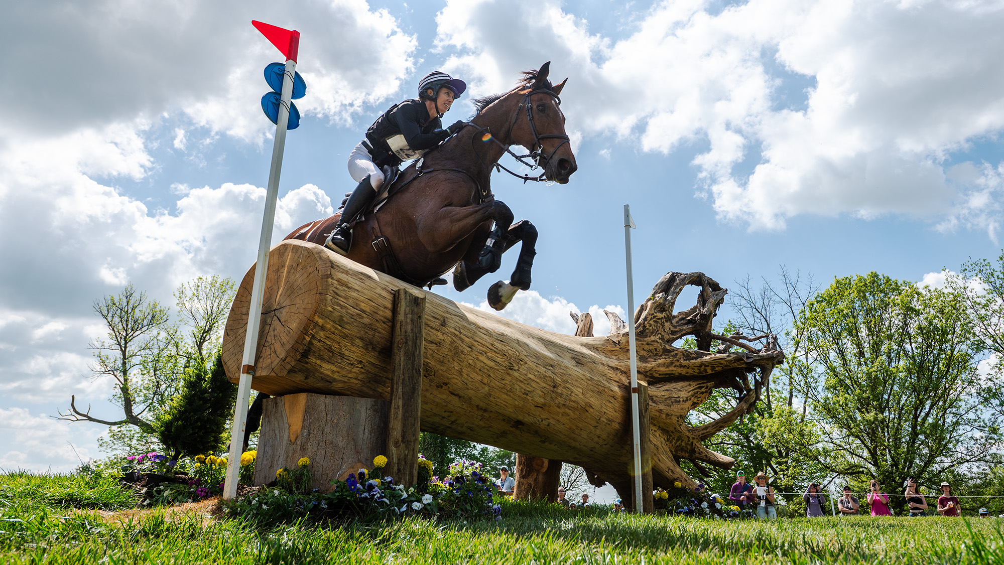 Politeness and power combine as thoroughbred leads Kentucky after cross-country: ‘He’s a champion’