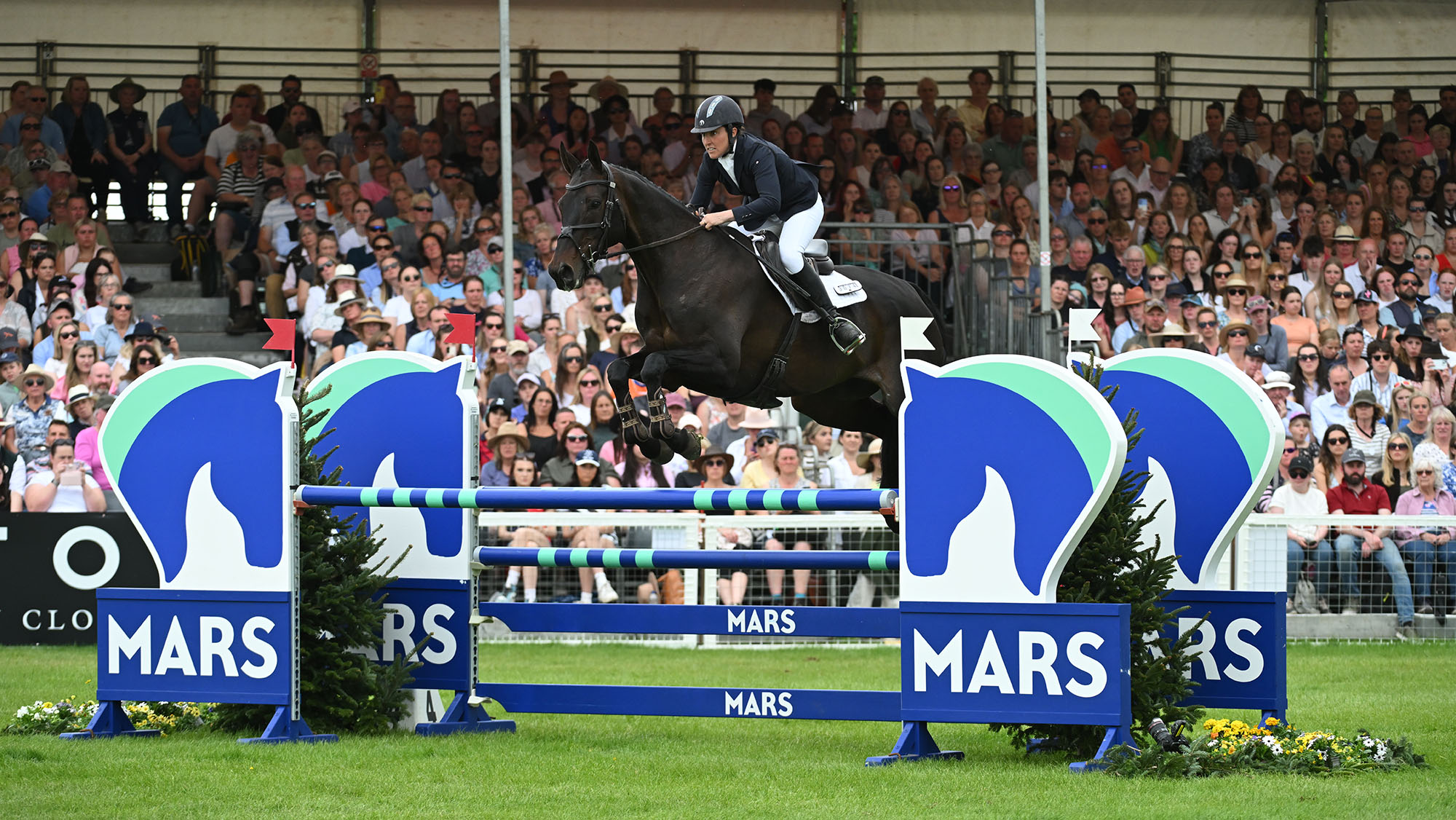 Katie Magee and Treworra jump a showjump at Badminton Horse Trials 2025. 