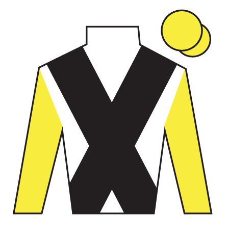 Jockey's silks colours for 2026 Grand National reserve Buddy One
