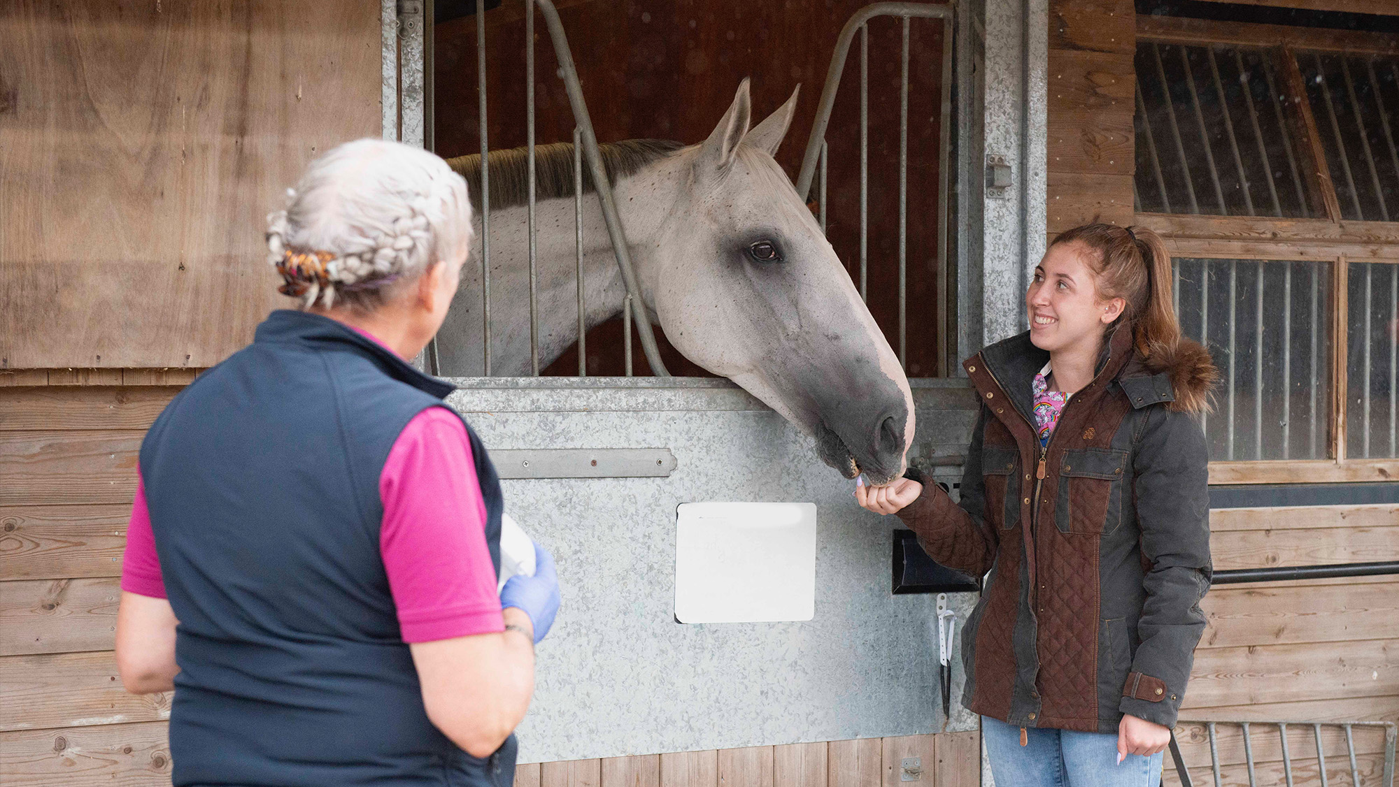 Vet having conversation with horse owner about the costs of breeding a horse