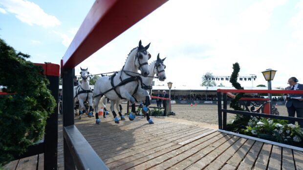 A carriage enters the ring at Royal Windsor Horse Show