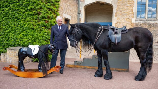 The real pony Emma sniffs the rocking horse Emma, held by Terry Pendry