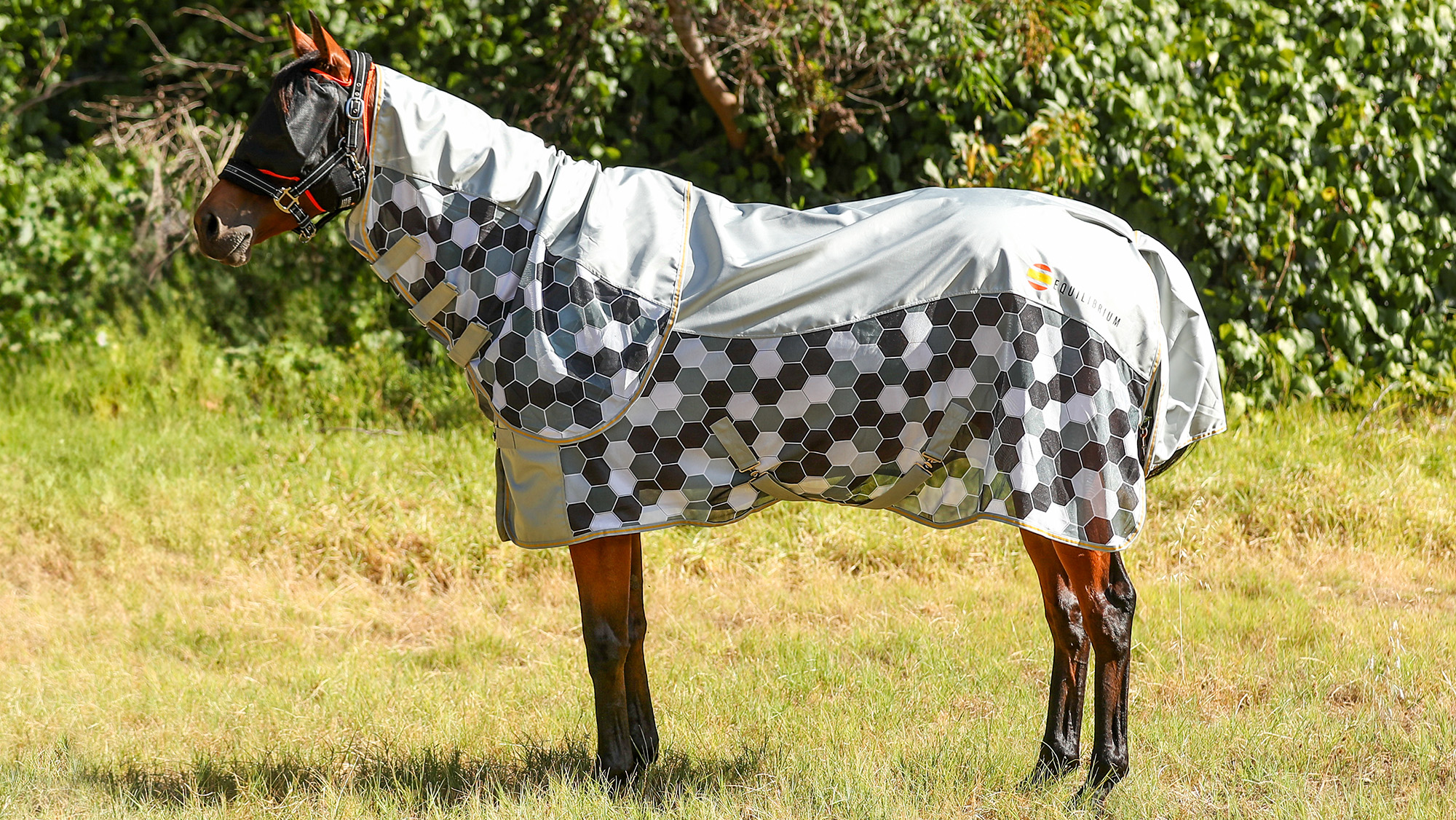 Equilibrium Waterproof Fly Rug with Detachable Neck