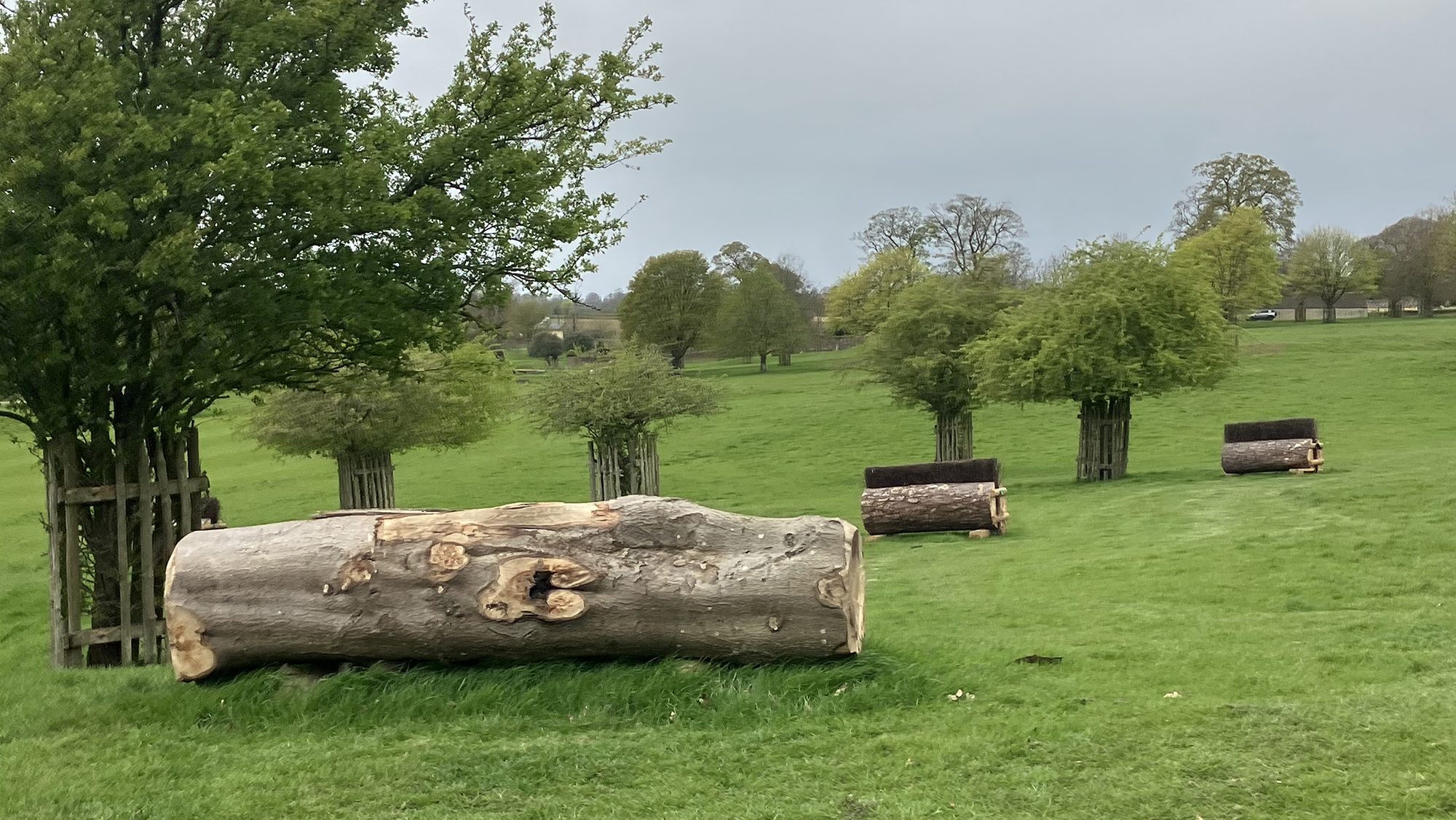 A log followed by two skinny brush fences on the BE90 grassroots course at Badminton