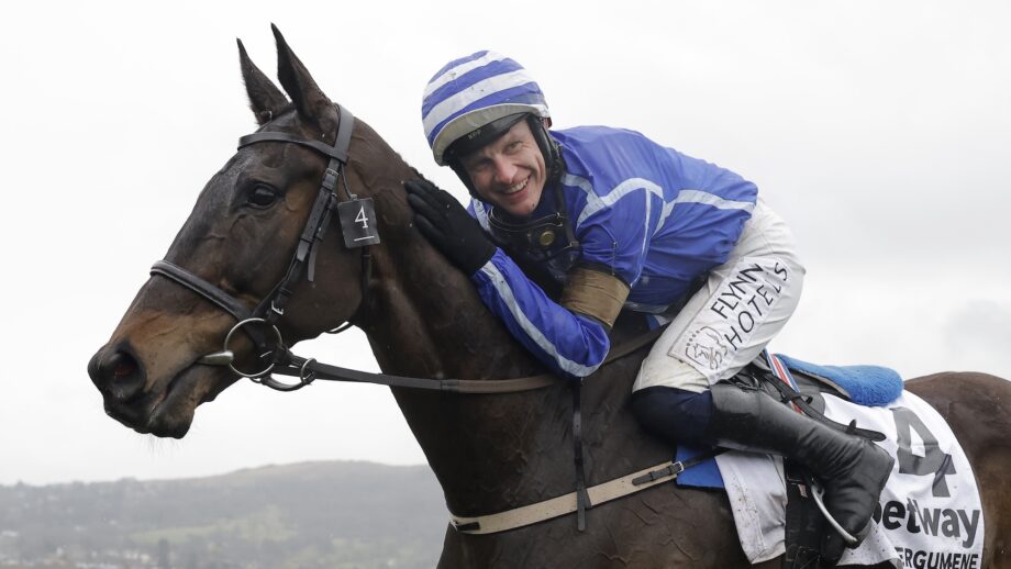 Energumene with Paul Townend riding celebrate after their win in the Champion Chase during racing on day two of the Cheltenham National Hunt jump racing festival at Cheltenham Racecourse on March 15th 2023 in Gloucestershire, England (Photo by Tom Jenkins/Getty Images)